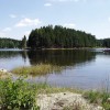 Rybník Zvůle
